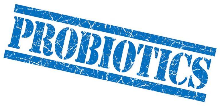 probiotic brands