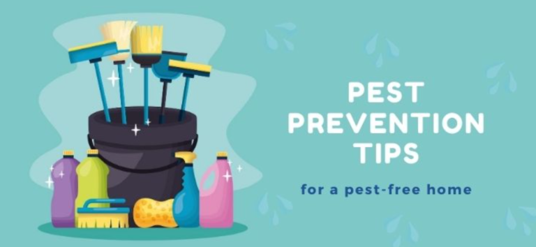 pest prevention tips featured image