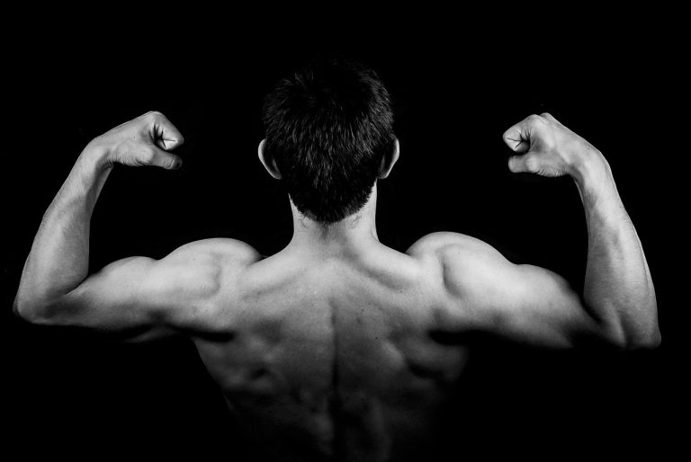 the rear deltoid row is a back exercise.